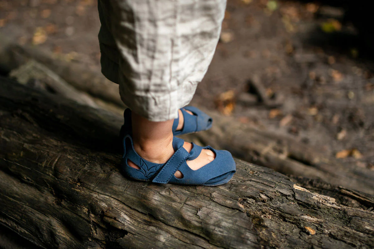 Feder blue - Image 3